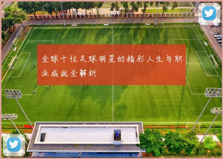 全球十位足球明星的精彩人生与职业成就全解析
