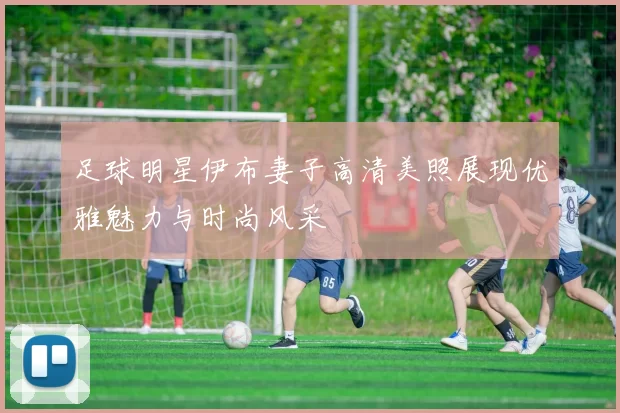 足球明星伊布妻子高清美照展现优雅魅力与时尚风采