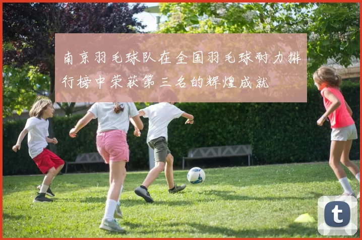 南京羽毛球队在全国羽毛球耐力排行榜中荣获第三名的辉煌成就
