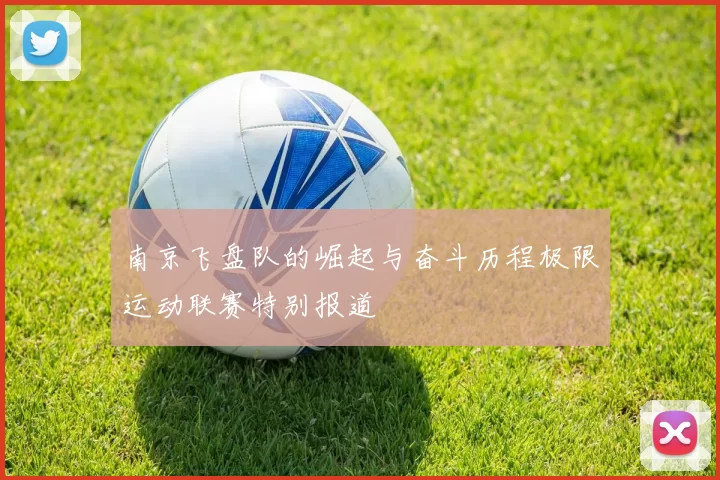 南京飞盘队的崛起与奋斗历程极限运动联赛特别报道