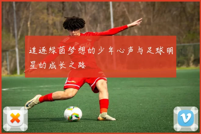 追逐绿茵梦想的少年心声与足球明星的成长之路