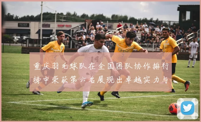 重庆羽毛球队在全国团队协作排行榜中荣获第六名展现出卓越实力与团队精神