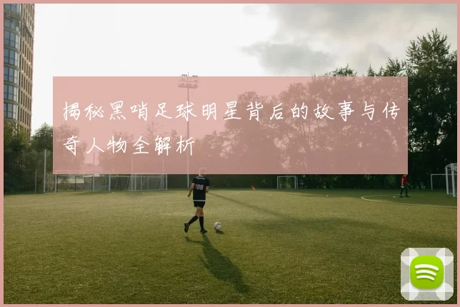 揭秘黑哨足球明星背后的故事与传奇人物全解析