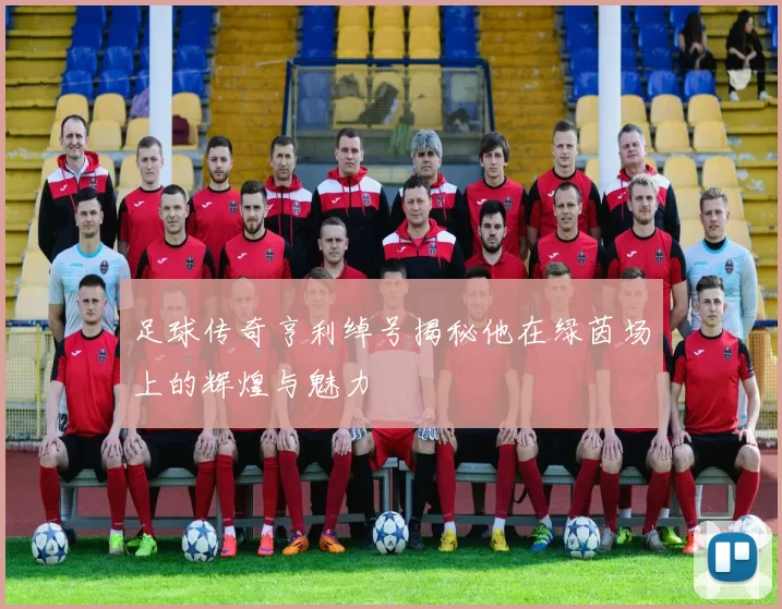 足球传奇亨利绰号揭秘他在绿茵场上的辉煌与魅力