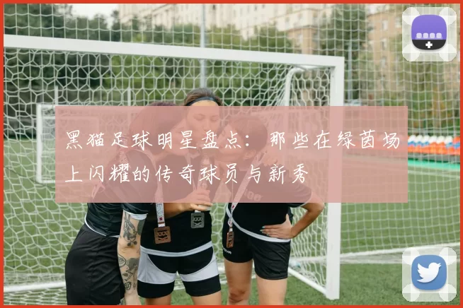 黑猫足球明星盘点：那些在绿茵场上闪耀的传奇球员与新秀