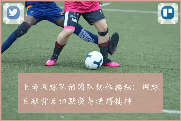 上海网球队的团队协作揭秘：网球巨献背后的默契与拼搏精神