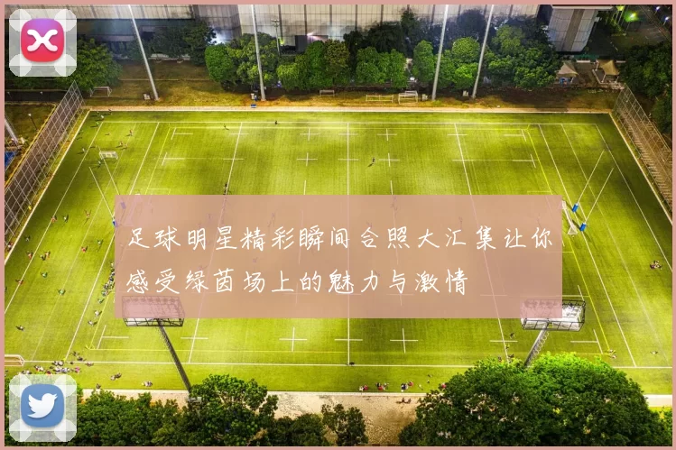 足球明星精彩瞬间合照大汇集让你感受绿茵场上的魅力与激情
